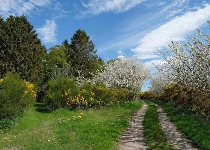 Lower Bruntlands