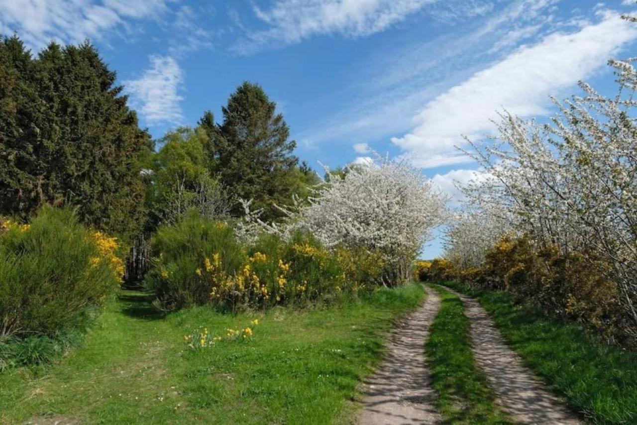 Lower Bruntlands